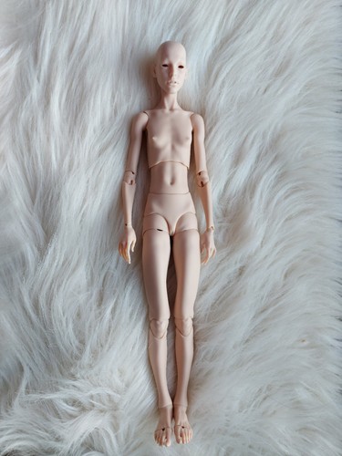 Bjd legit amicus - bjd,